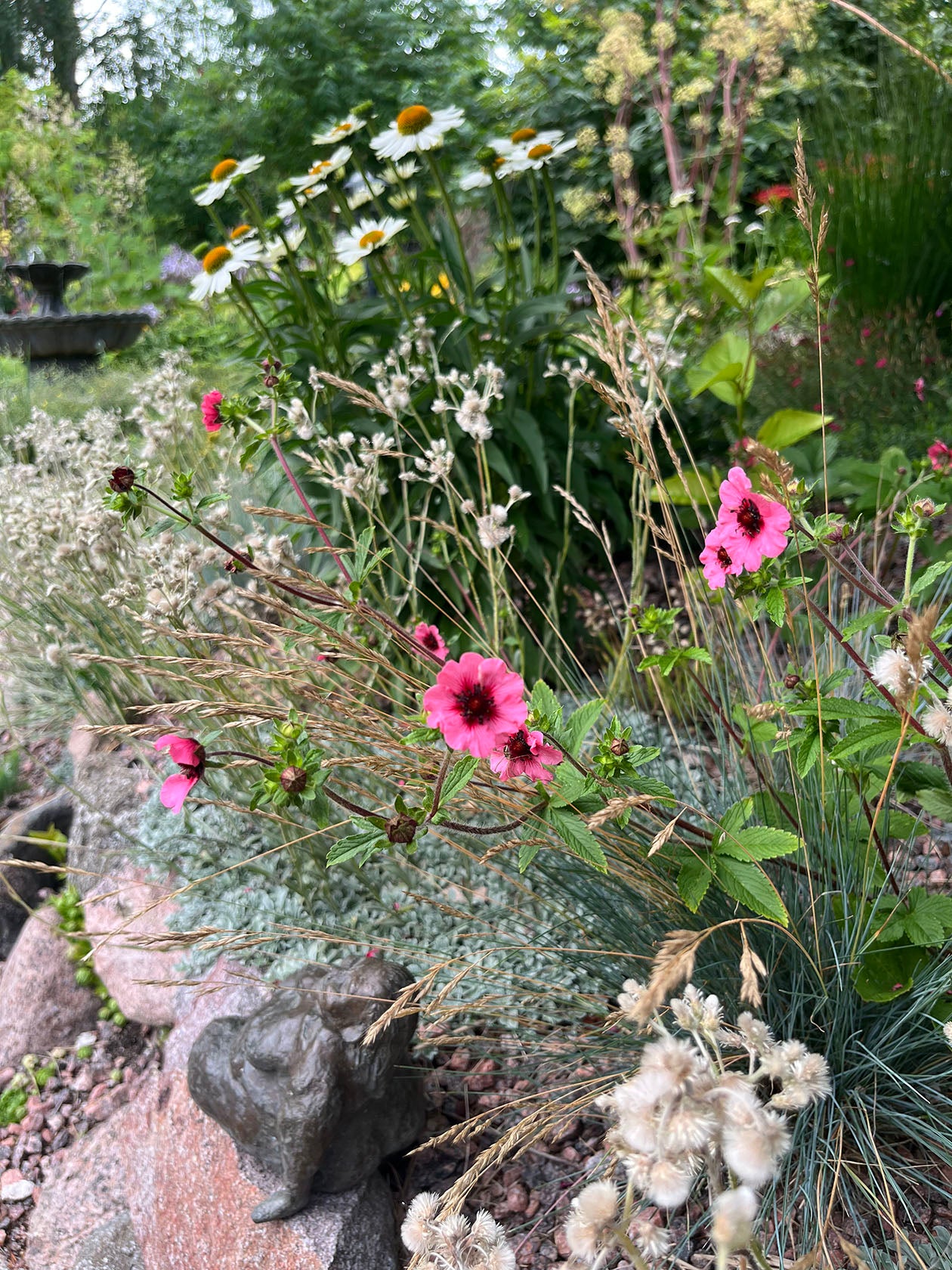 Nepalinhanhikki (Potentilla nepalensis) - Photo by Verso Verde, All Rights Reserved